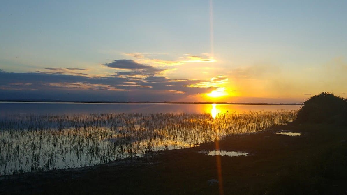 Птичий рай Куш Дженнети