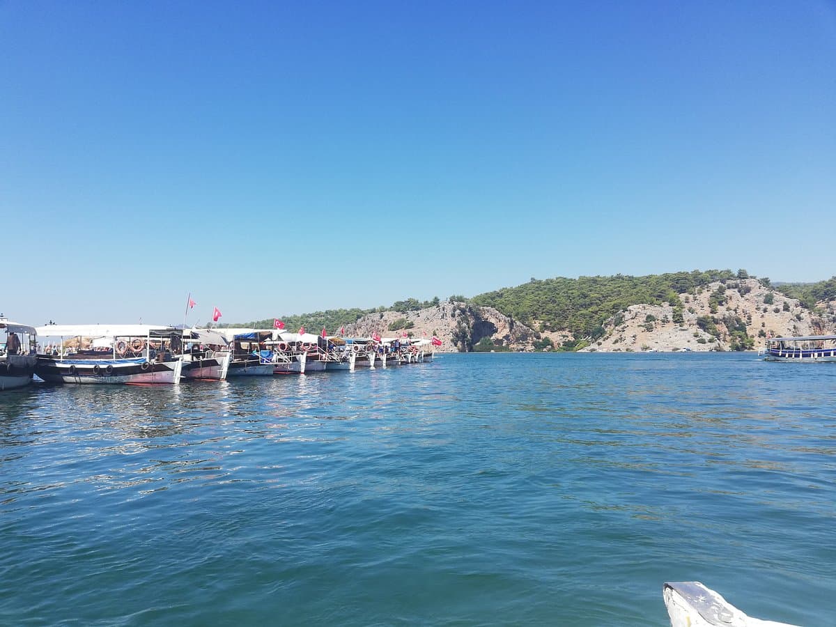 Фонд сохранения морских черепах Каптан Джун