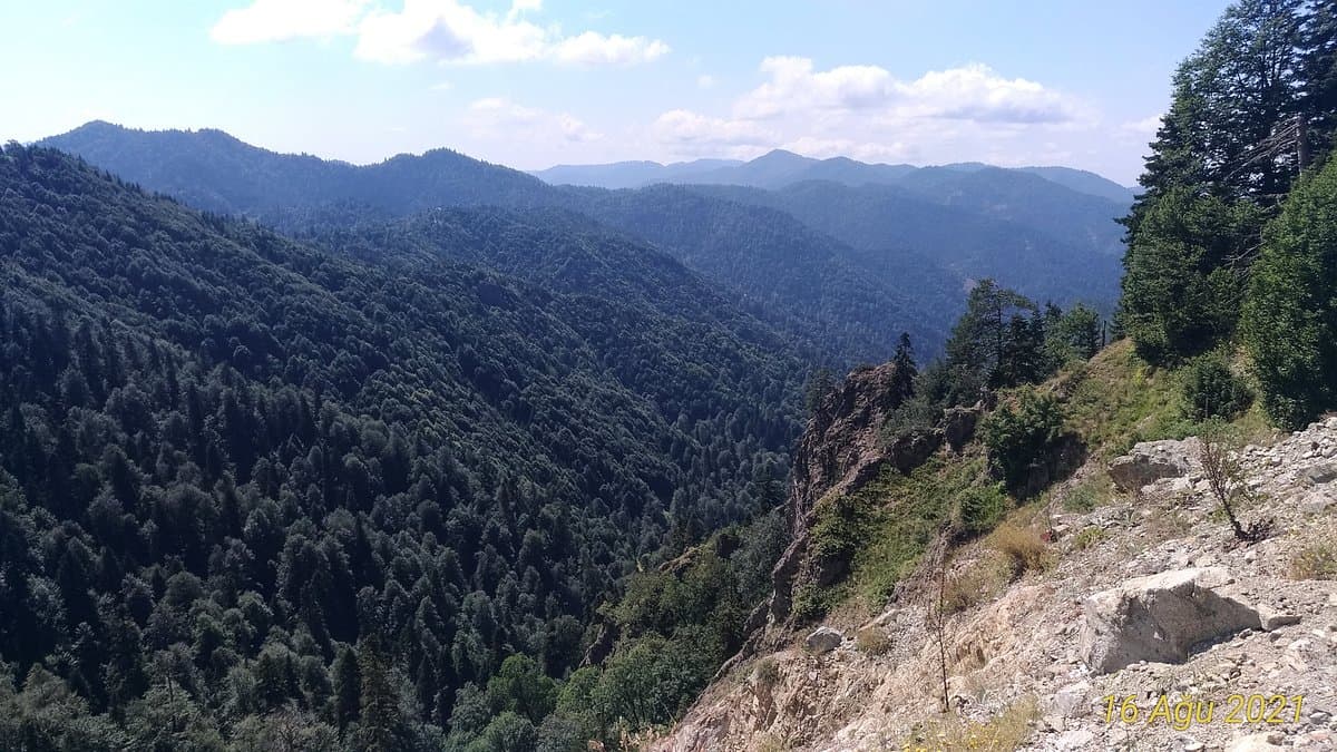 Ayikayasi Nature Park cover image