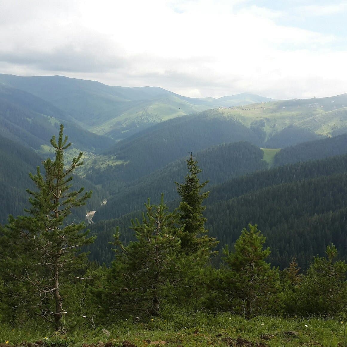 Плато Хачка