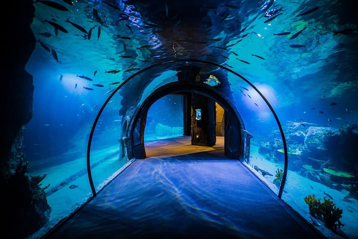 Аквариум Funtastic Aquarium Измир