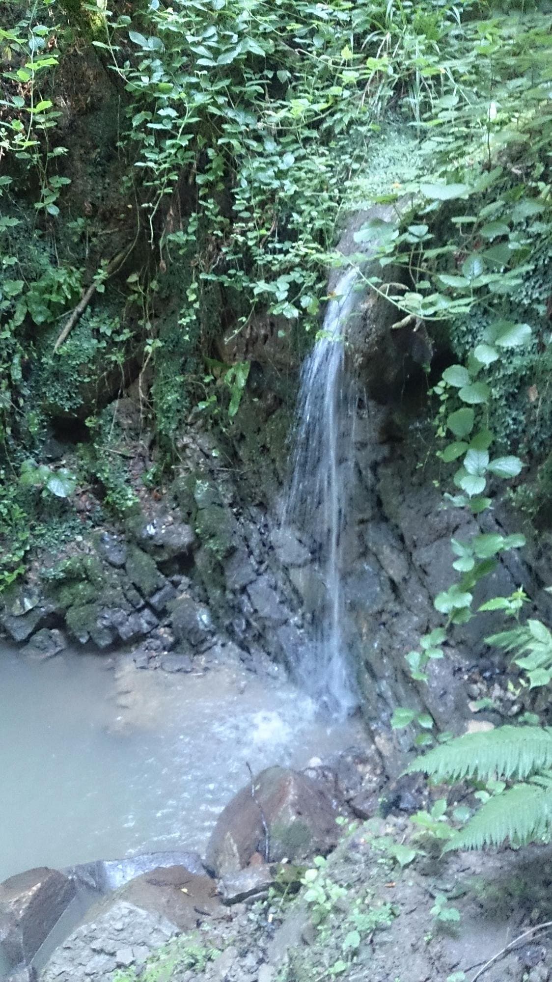 Tahirli Waterfall cover image