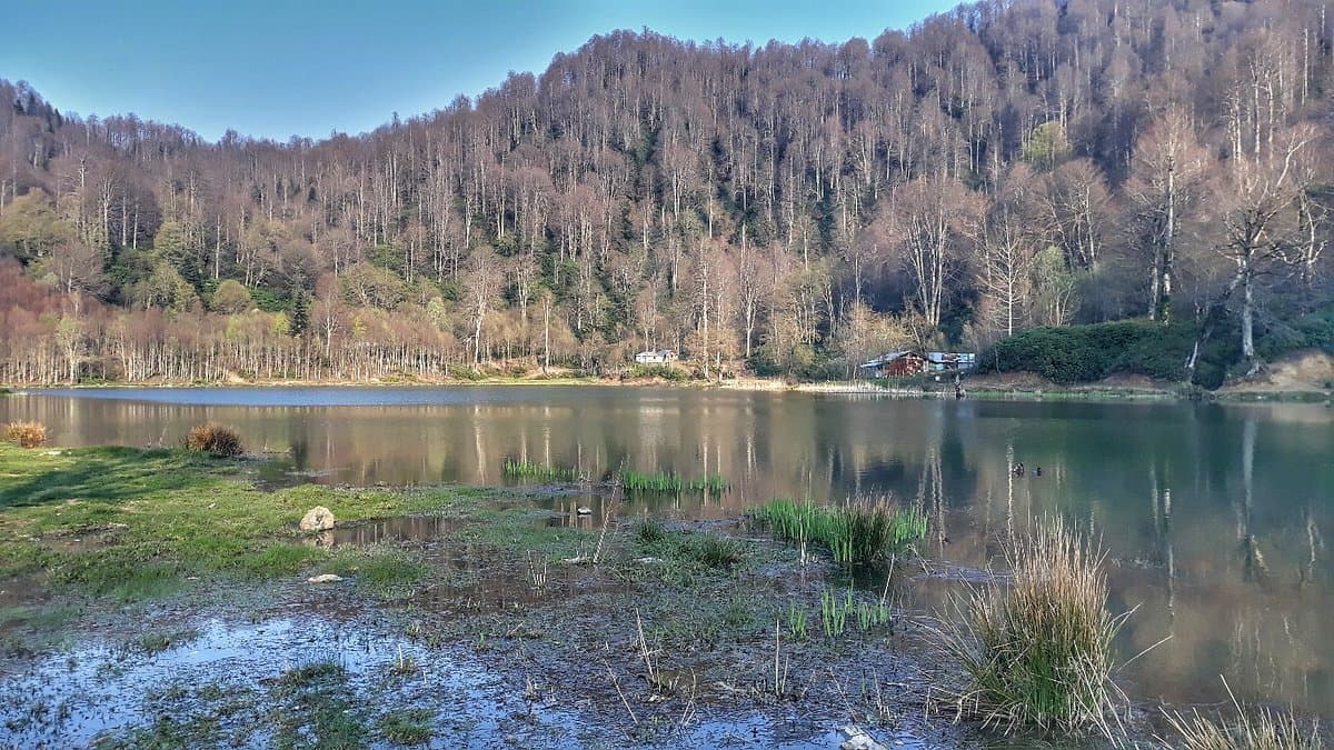 Холм Керемали