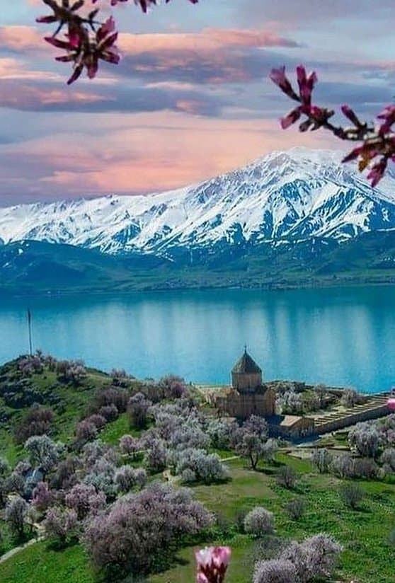 Дом ванских кошек